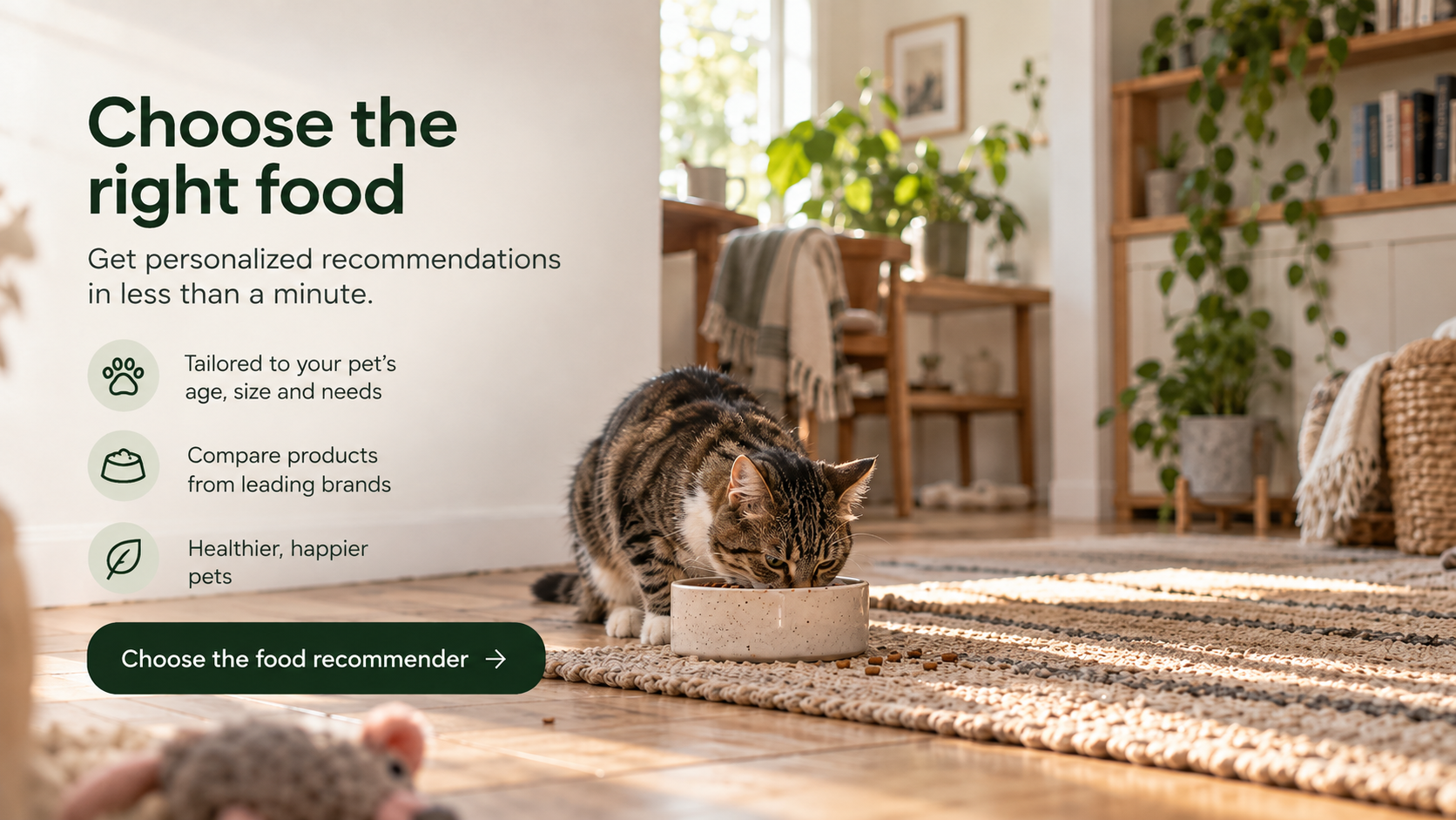 Choose the right food: a cat enjoying a meal at home